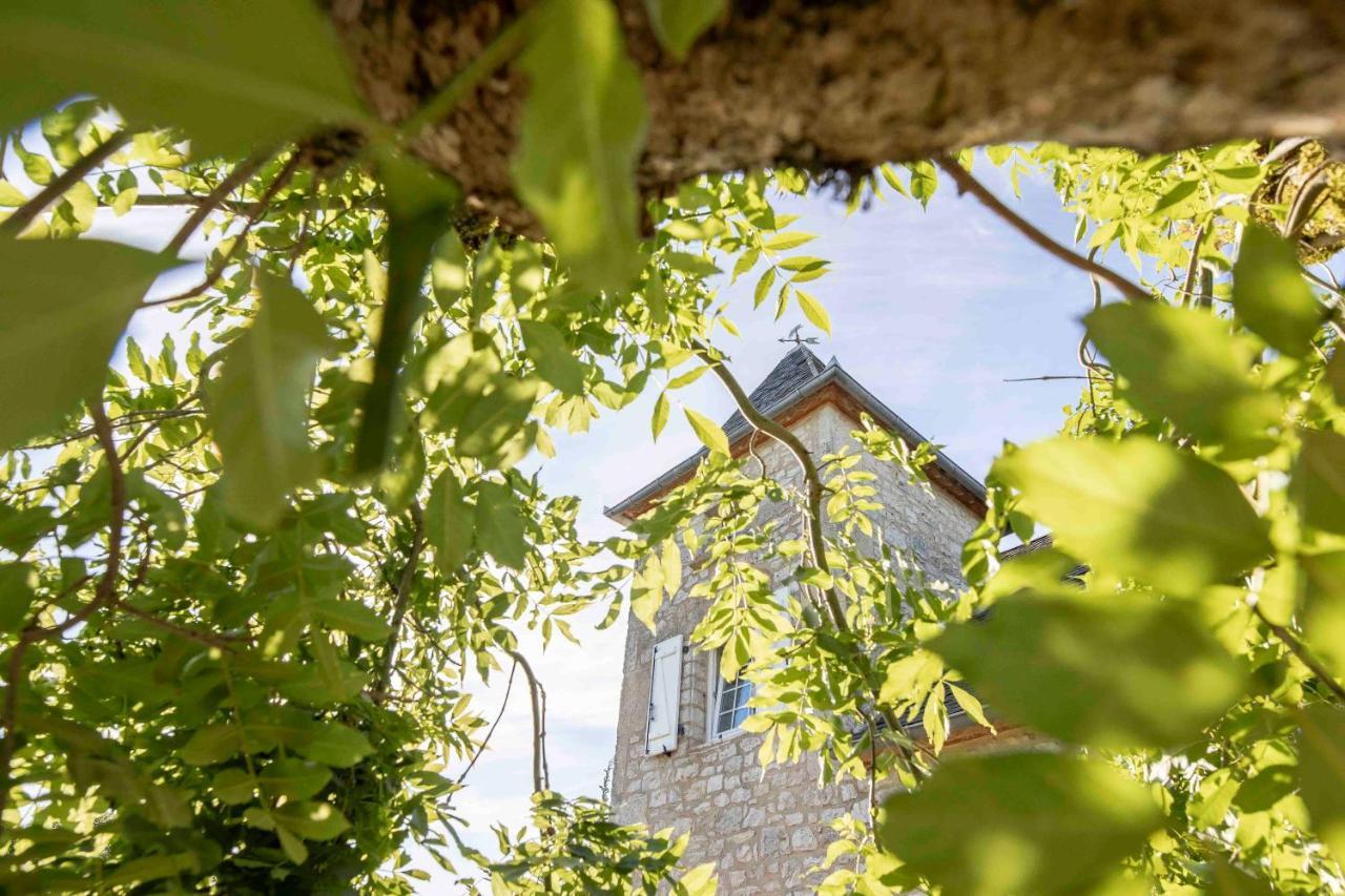 Domaine La Garenne Bed and Breakfast Reilhaguet Eksteriør billede