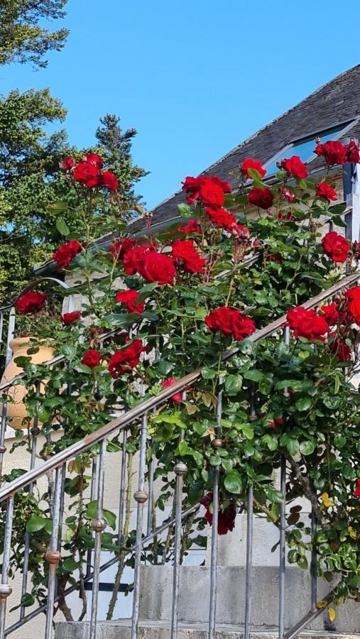 Domaine La Garenne Bed and Breakfast Reilhaguet Eksteriør billede